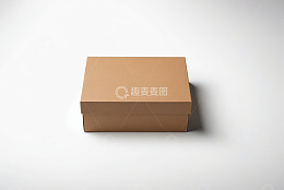 棕色纸盒产品包装展示