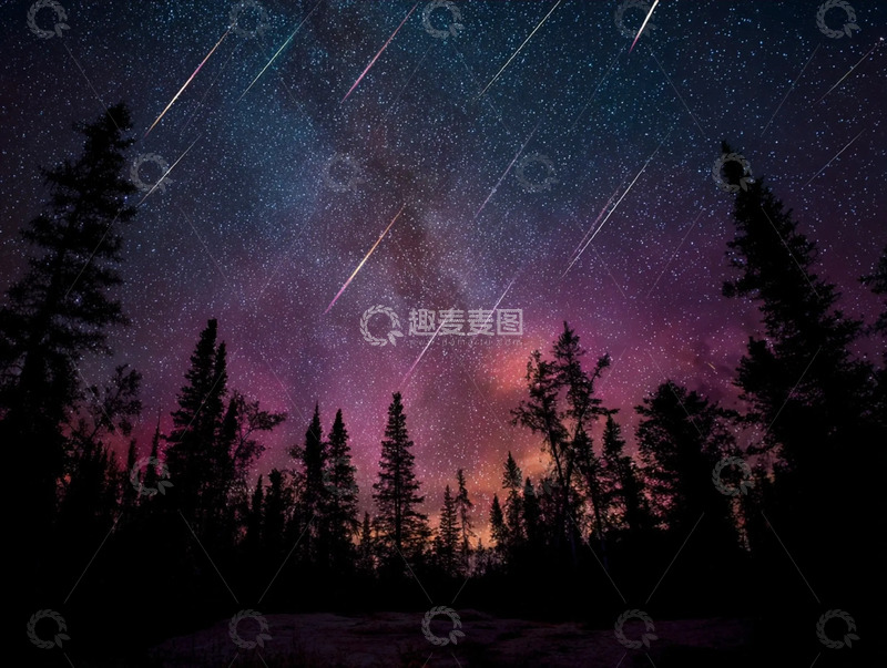 高清大图下载【趣麦麦图】-银河星轨下的山野森林夜景