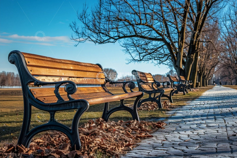 高清大图下载【趣麦麦图】林荫间的公园长椅与悠然步道