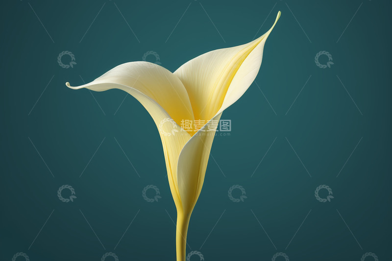 高清大图下载【趣麦麦图】粉色现代风格舞台展示台