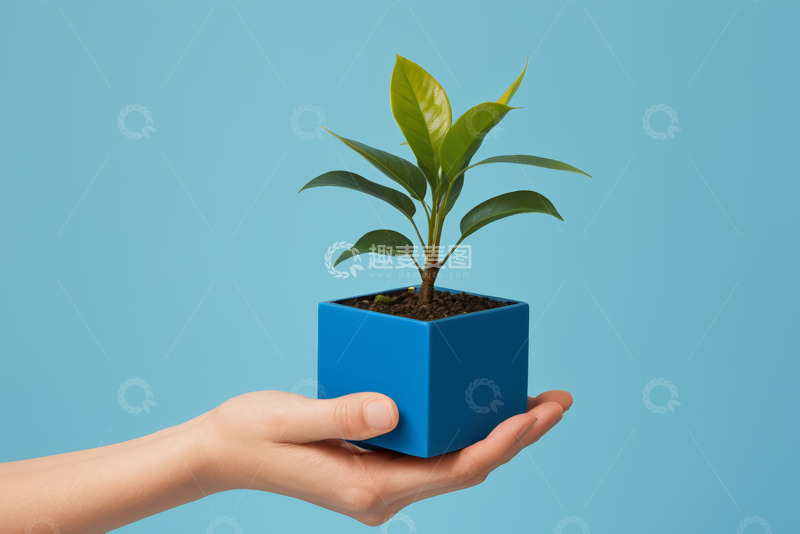 高清大图下载【趣麦麦图】三朵蘑菇生长在苔藓之上