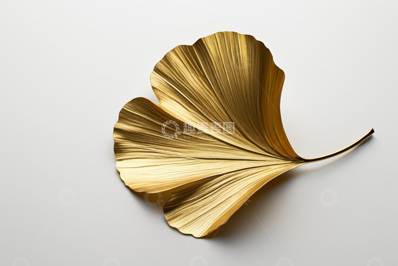 高清大图下载【趣麦麦图】金色银杏叶装饰摆件