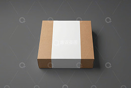 棕色纸箱带白色标签包装展示