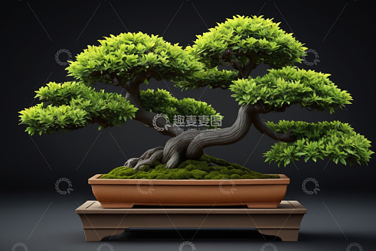 黑色背景白色放射光线