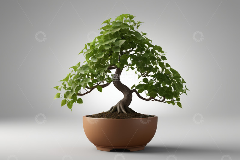 高清大图下载【趣麦麦图】黑色背景中的发光白色圆环