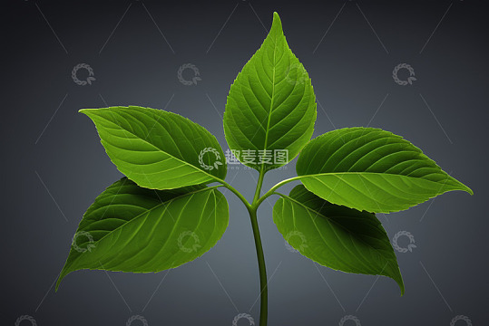 黑金配色金属条背景