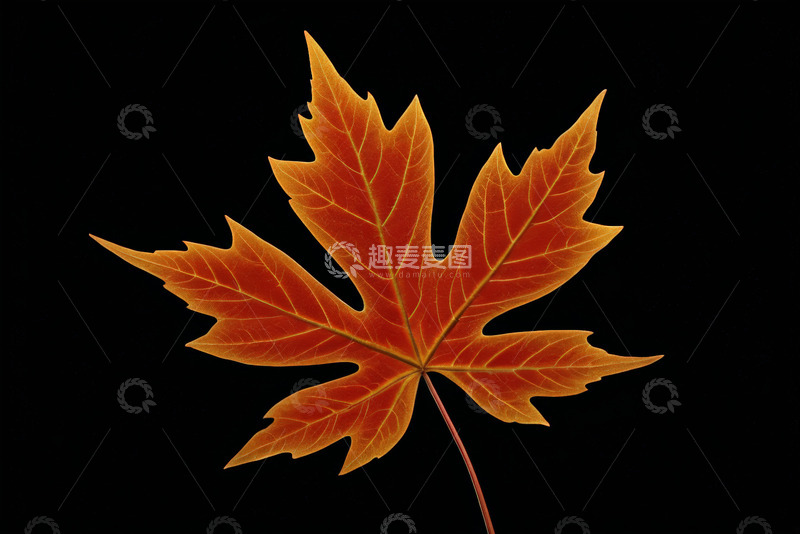 高清大图下载【趣麦麦图】黑色背景上的黄色光芒素材