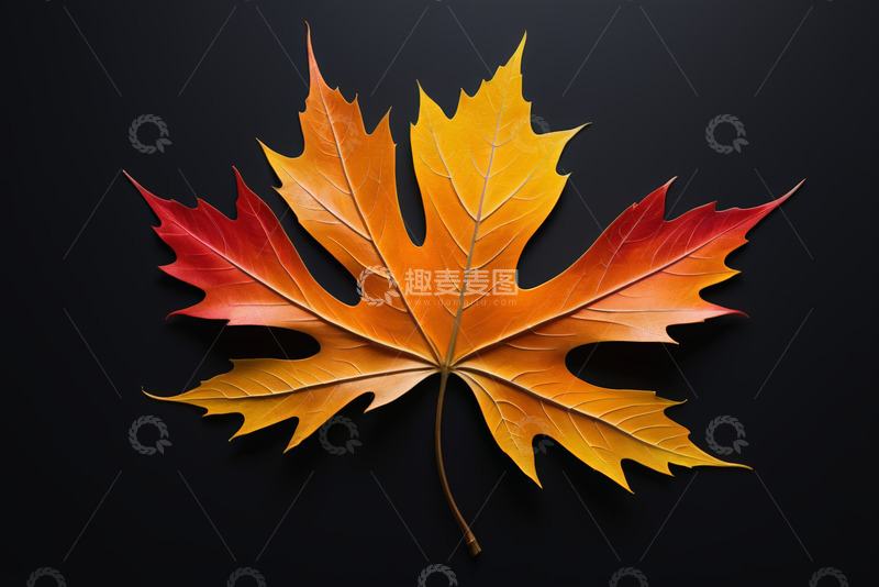 高清大图下载【趣麦麦图】金色火炬上燃烧的火焰