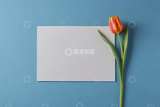 蓝色背景上的郁金香与白纸