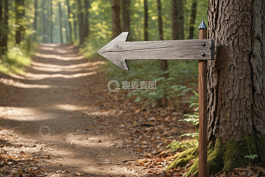 林间小道旁的木质箭头指示牌