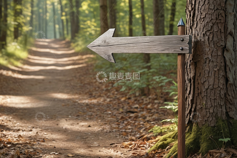 林间小道旁的木质箭头指示牌