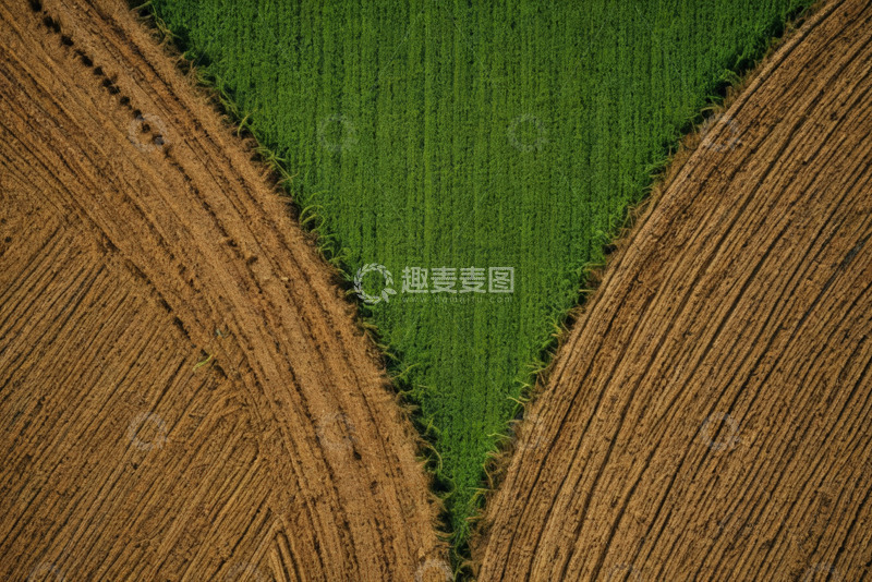 高清大图下载【趣麦麦图】俯瞰农田耕地与绿植景观