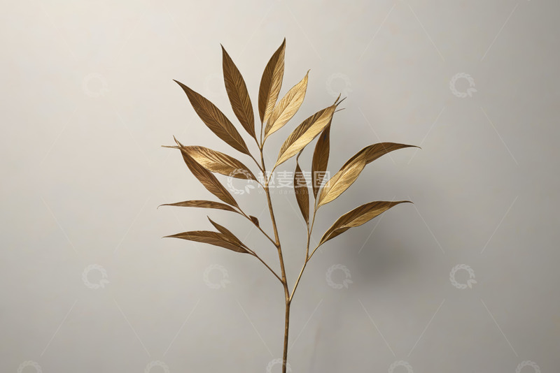 高清大图下载【趣麦麦图】金色植物叶片特写