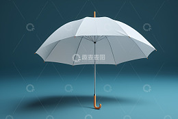 白色雨伞展示图