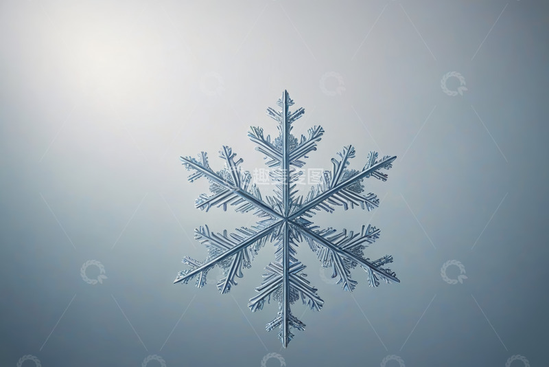 高清大图下载【趣麦麦图】微距雪花特写