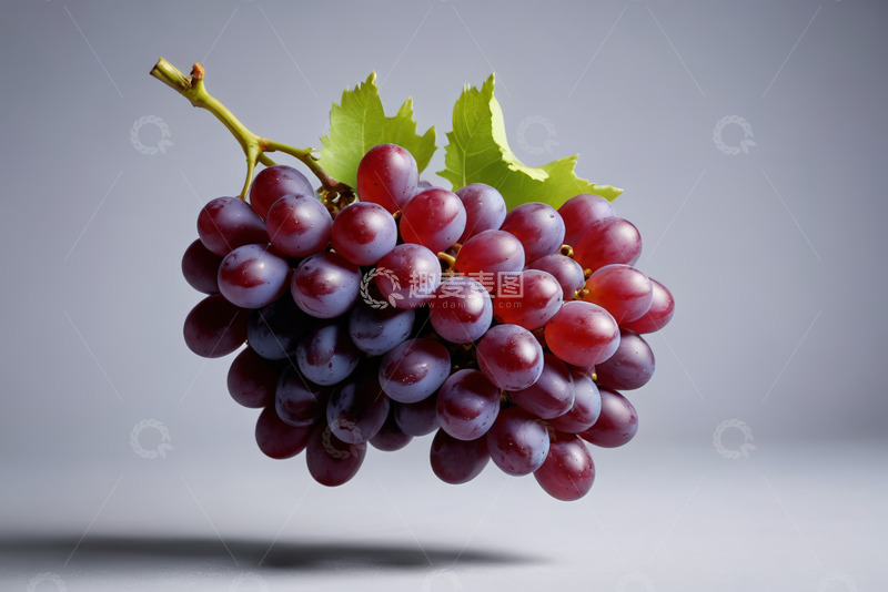 高清大图下载【趣麦麦图】新鲜成串紫葡萄特写