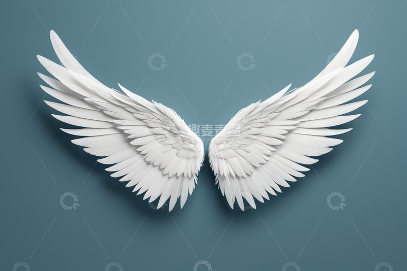 高清大图下载【趣麦麦图】白色天使翅膀图案素材