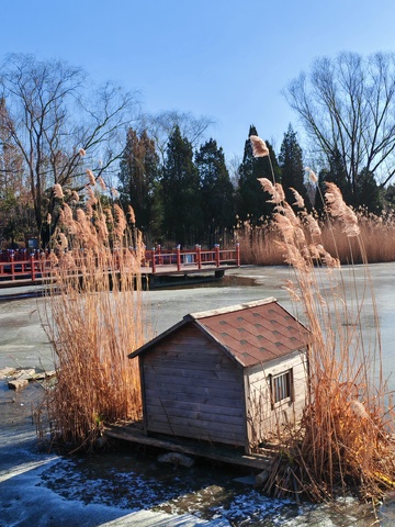 冬日湖畔小屋风景摄影