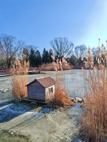 冬日湖畔小屋风景摄影