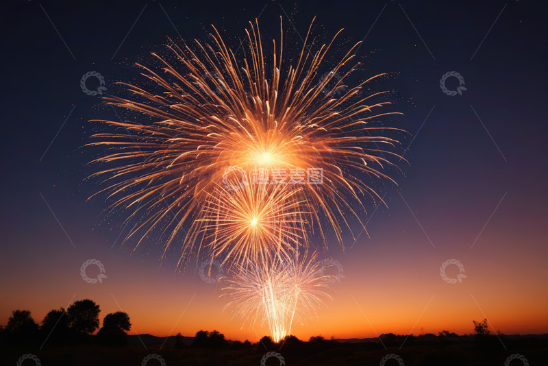 高清大图下载【趣麦麦图】夜空绽放的绚烂烟花
