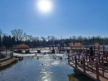 冬日阳光下的公园栈道