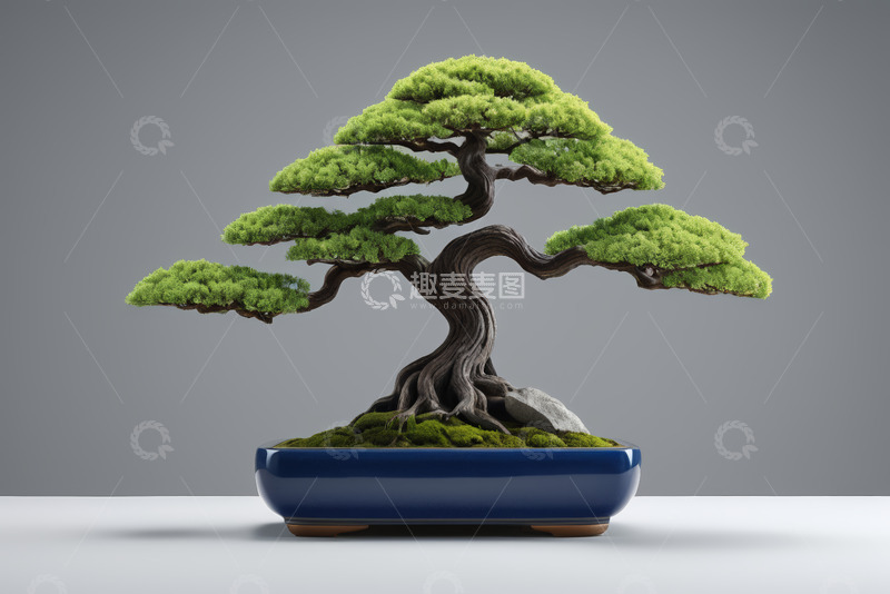 高清大图下载【趣麦麦图】精致盆景绿植盆栽特写