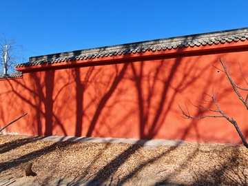 红墙树影风光摄影