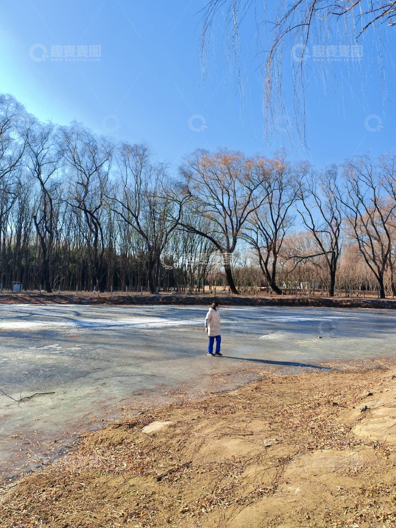 高清大图下载【趣麦麦图】冬日公园独行者