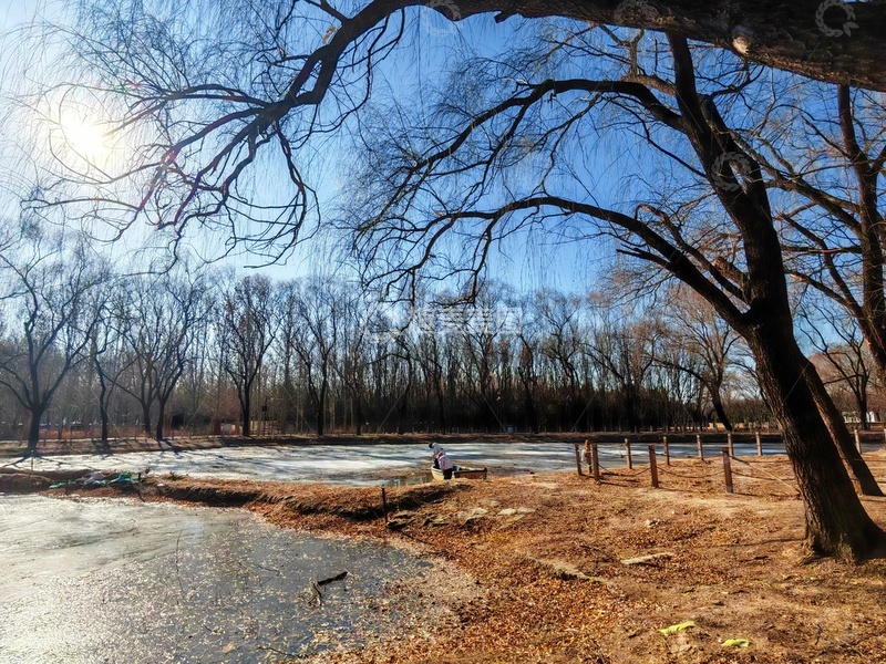 高清大图下载【趣麦麦图】冬日公园风光摄影