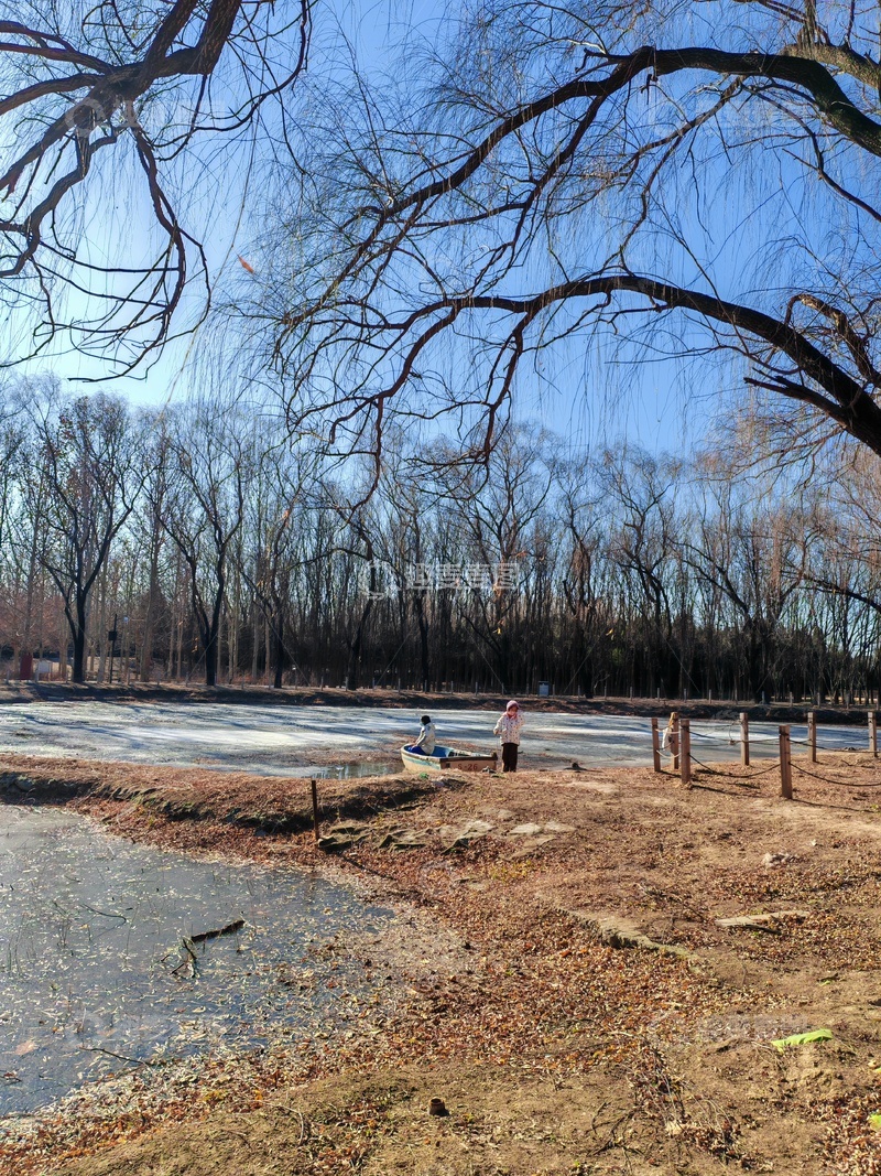 高清大图下载【趣麦麦图】冬日湖边景象自然风光摄影