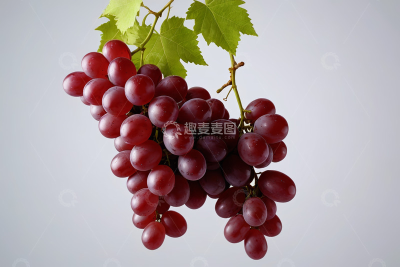 高清大图下载【趣麦麦图】新鲜红葡萄特写
