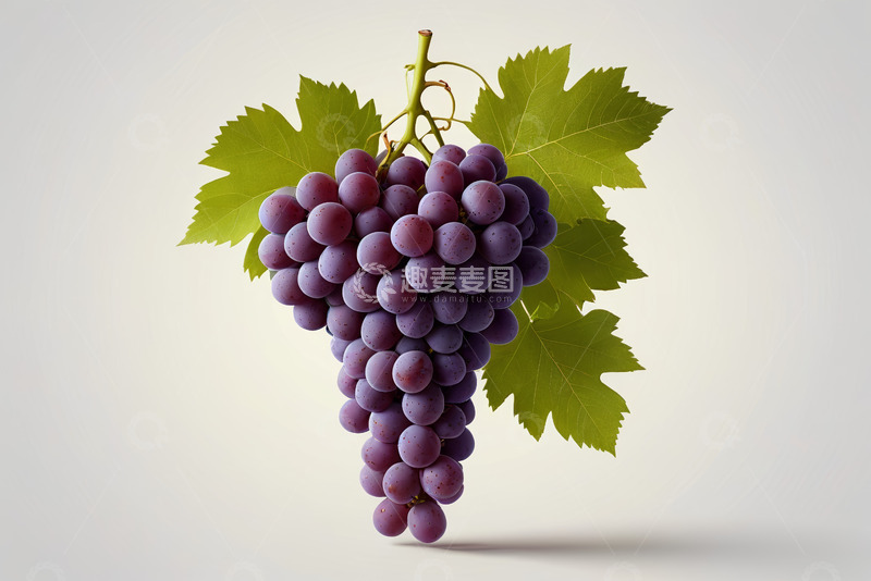 高清大图下载【趣麦麦图】紫葡萄带绿叶特写