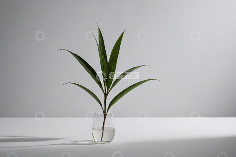 高清大图下载【趣麦麦图】透明玻璃杯中绿植静物