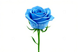 多彩花朵排列图案