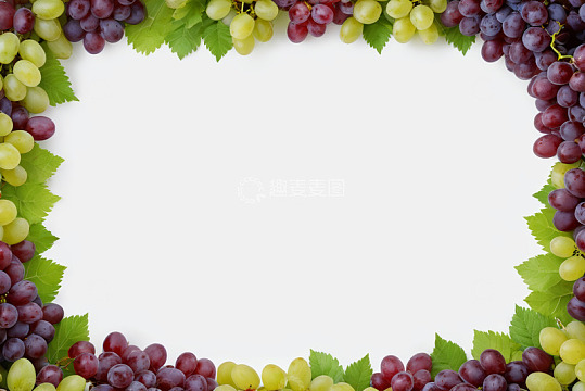 葡萄绿叶组成的边框素材
