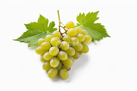 绿葡萄带叶特写