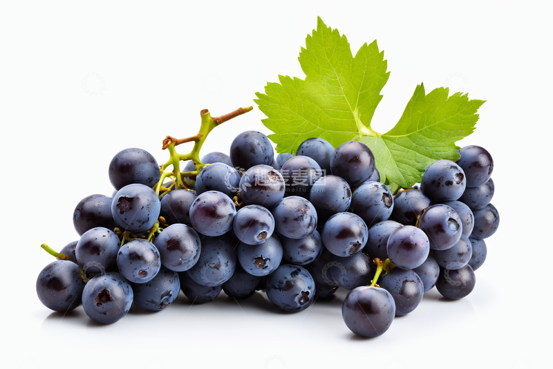 高清大图下载【趣麦麦图】新鲜紫葡萄带绿叶特写