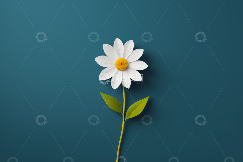 高清大图下载【趣麦麦图】蓝色背景下的白色雏菊