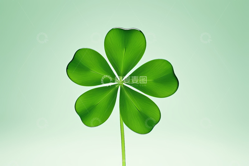 高清大图下载【趣麦麦图】绿色四叶草特写素材