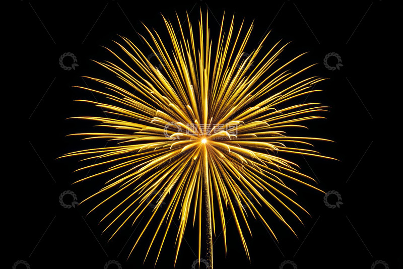 高清大图下载【趣麦麦图】金色烟花绽放夜空