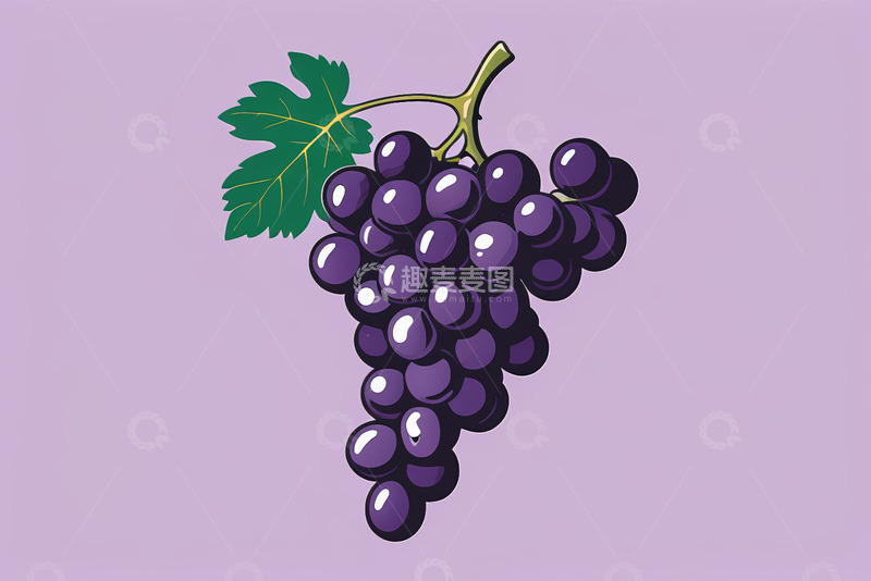 高清大图下载【趣麦麦图】紫色背景上的葡萄插画