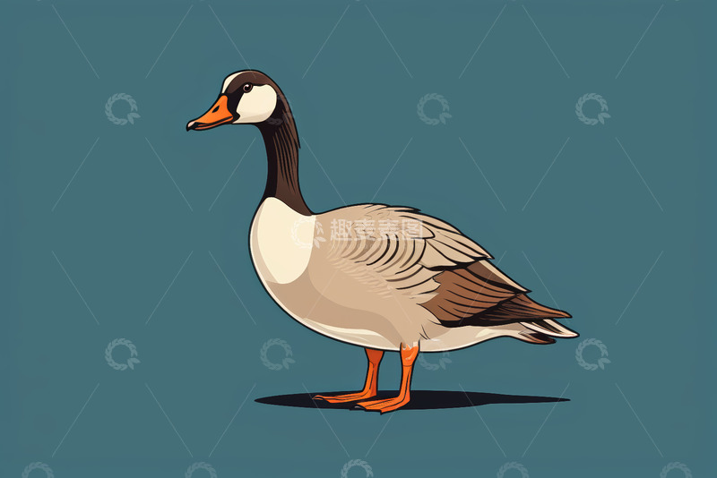 高清大图下载【趣麦麦图】站立的鹅插画素材