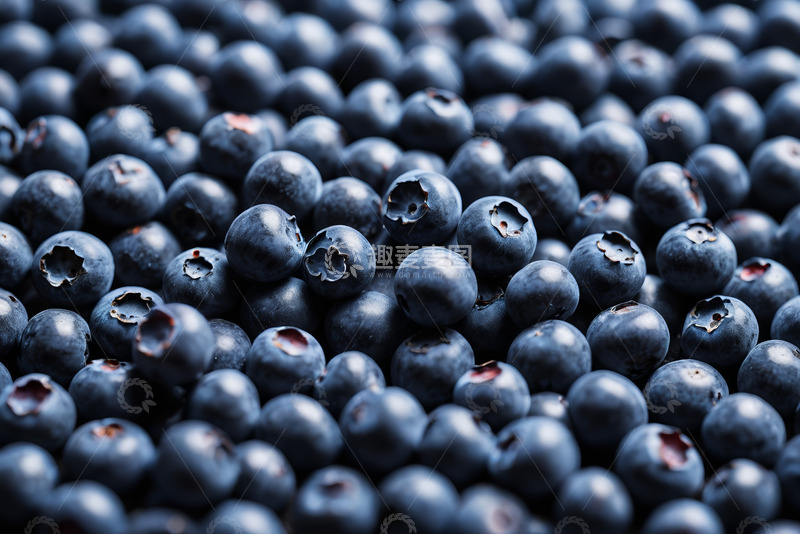 高清大图下载【趣麦麦图】微距蓝莓特写画面
