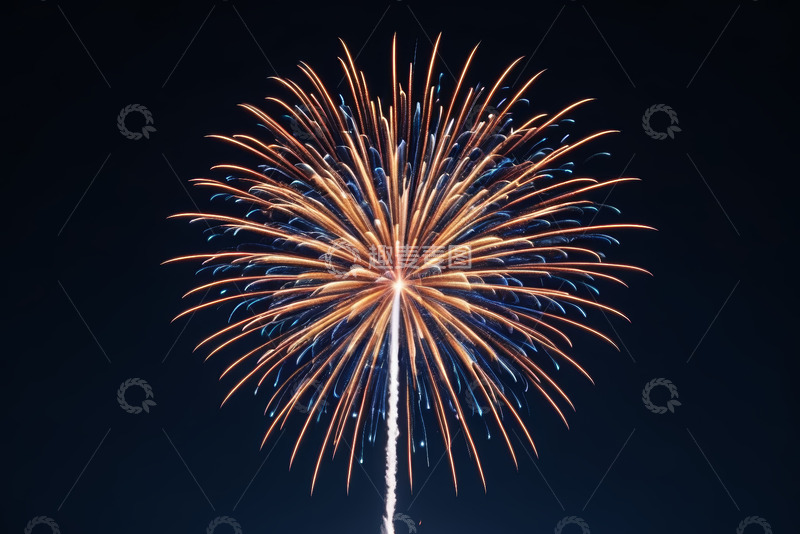 高清大图下载【趣麦麦图】夜空中绽放的绚丽烟花