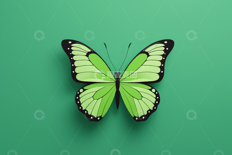 高清大图下载【趣麦麦图】绿色背景上的蝴蝶特写