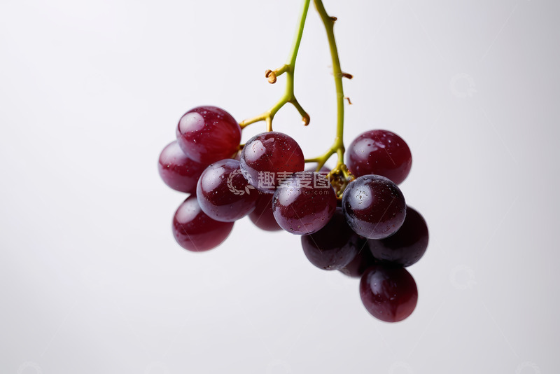 高清大图下载【趣麦麦图】紫红色葡萄特写
