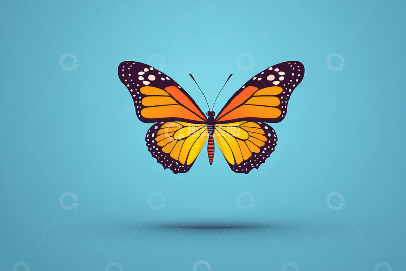 高清大图下载【趣麦麦图】蓝色背景上的橙色蝴蝶