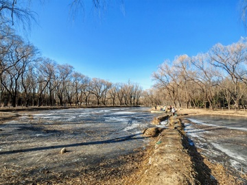 冬日湖面冰封景观