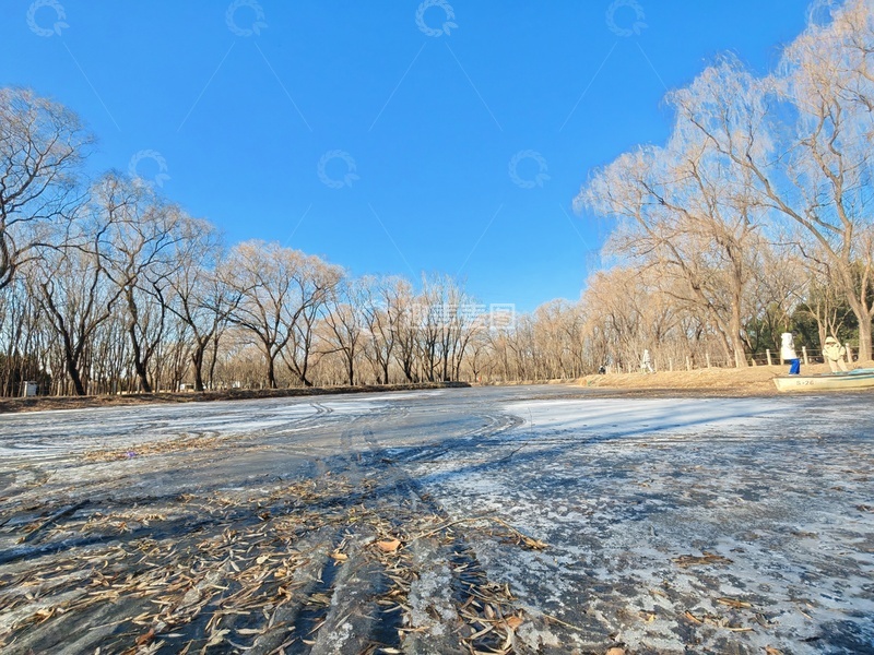 高清大图下载【趣麦麦图】冬日冰湖树木景观摄影