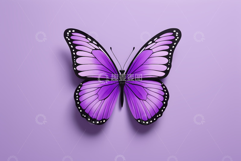 高清大图下载【趣麦麦图】紫色蝴蝶特写素材
